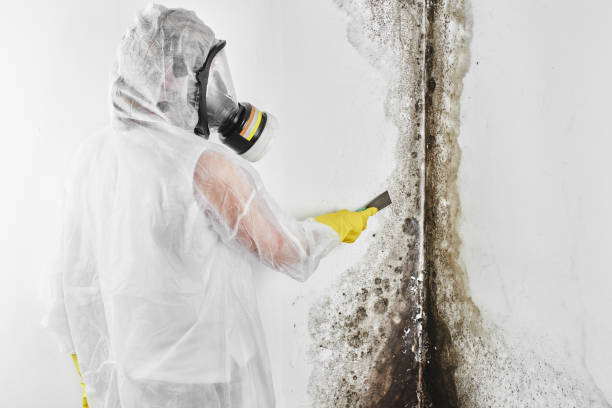 Best Post-Remediation Services in Goodwater, AL